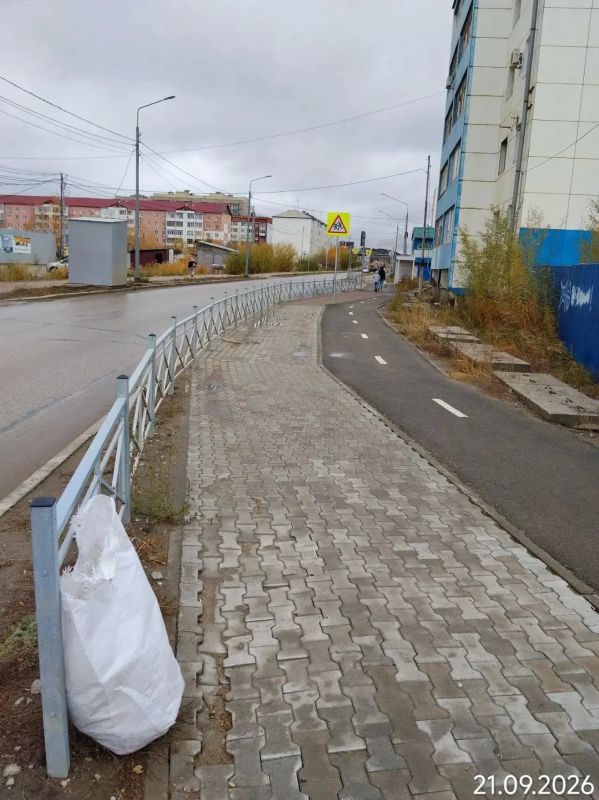 Работа муниципальных дворников Гагаринского округа Работа муниципальных дворников Гагаринского округа