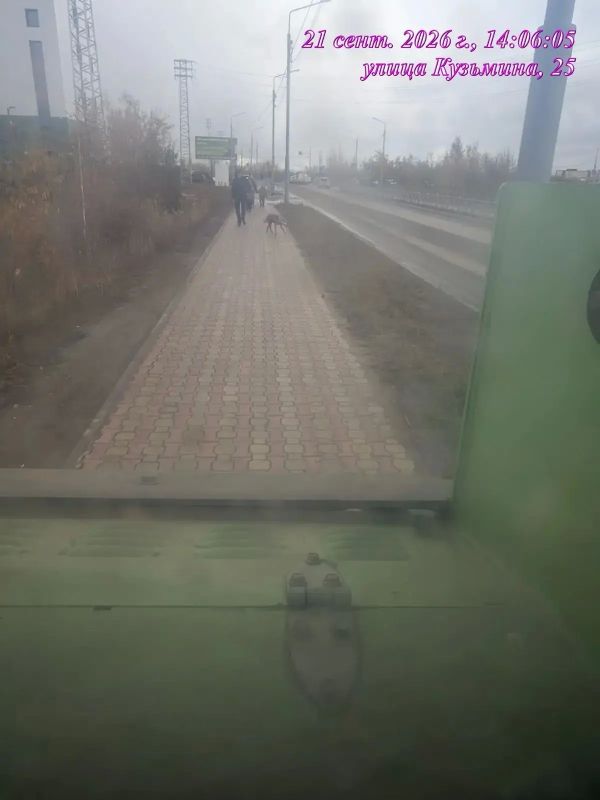 Подрядная организация Управы Гагаринского округа ежедневно осуществляет уборку тротуаров на территории округа Подрядная организация Управы Гагаринского округа ежедневно осуществляет уборку тротуаров на территории округа