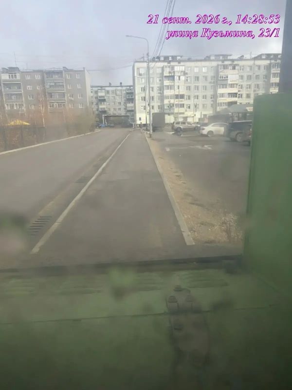 Подрядная организация Управы Гагаринского округа ежедневно осуществляет уборку тротуаров на территории округа Подрядная организация Управы Гагаринского округа ежедневно осуществляет уборку тротуаров на территории округа