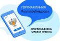 Роспотребнадзор открывает горячую линию по вопросам профилактики гриппа и ОРВИ