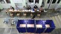 В Петербурге и еще трех регионах России отстранили 17 членов избиркомов