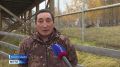 Орто дойду зоопарка кыыллара кыстыкка киирээри бэлэмнэнэллэр