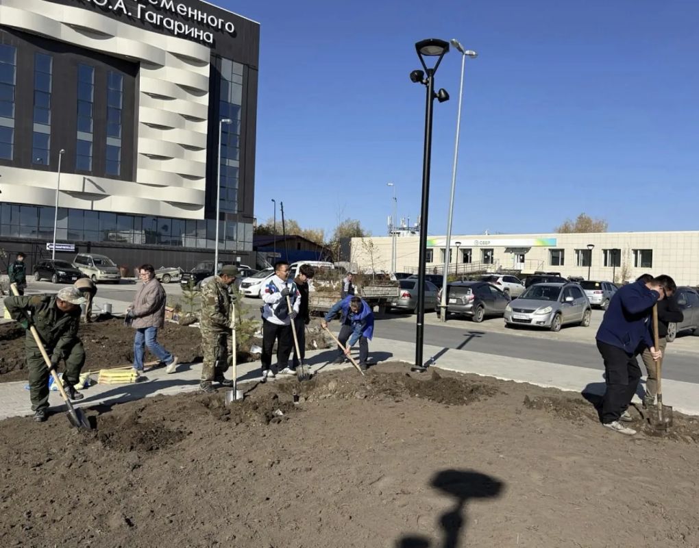 884 новых дерева за одну неделю: итоги акции «Пригороды - городу» 884 новых дерева за одну неделю: итоги акции «Пригороды - городу»