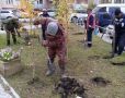 Более 800 деревьев за неделю посадили в округах Якутска