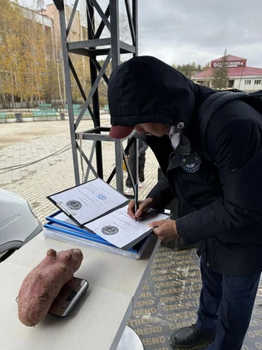 Олёкминский район — настоящий «картофельный король» Якутии Олёкминский район — настоящий «картофельный король» Якутии