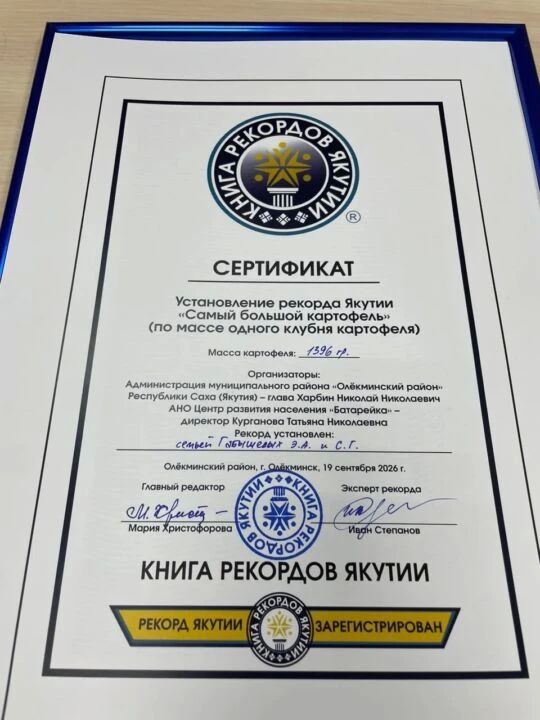 Олёкминский район — настоящий «картофельный король» Якутии Олёкминский район — настоящий «картофельный король» Якутии