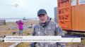 Беломедвежья перепись: в Нижнеколымском районе на территории заповедника «Медвежьи острова» состоялся ежегодный авиационный мониторинг популяции белого медведя