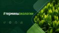 Ихтиофаги: пернатые рыболовы и их роль в экосистеме