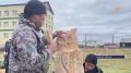 Чурапчы улууун Хоптоо нэилиэгэр Иван Егорович Федосеев-Доосо аатынан Дири агрооскуолатыгар I-кы рспблкэтээи технология учууталларын куонкуруа ыытылынна