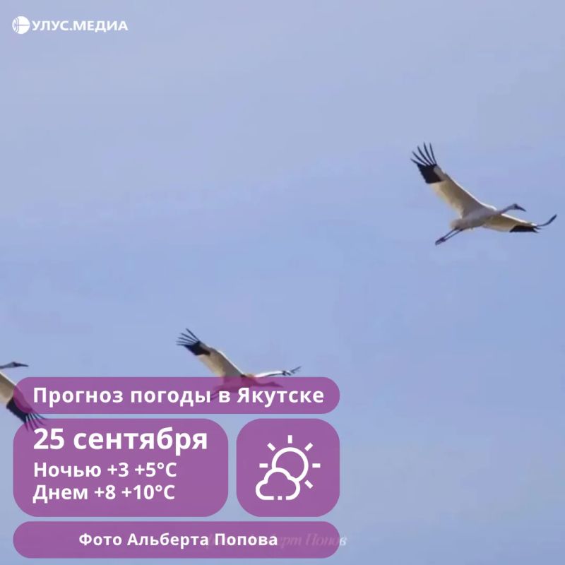 Штормовой ветер на побережье и сильные дожди: прогноз погоды в Якутии на пятницу
