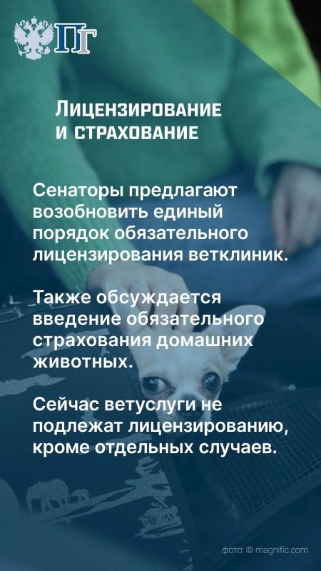 В России работают около девяти тысяч ветеринарных клиник, из которых более шести тысяч — частные учреждения В России работают около девяти тысяч ветеринарных клиник, из которых более шести тысяч — частные учреждения