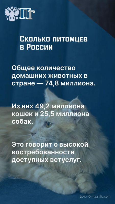 В России работают около девяти тысяч ветеринарных клиник, из которых более шести тысяч — частные учреждения В России работают около девяти тысяч ветеринарных клиник, из которых более шести тысяч — частные учреждения