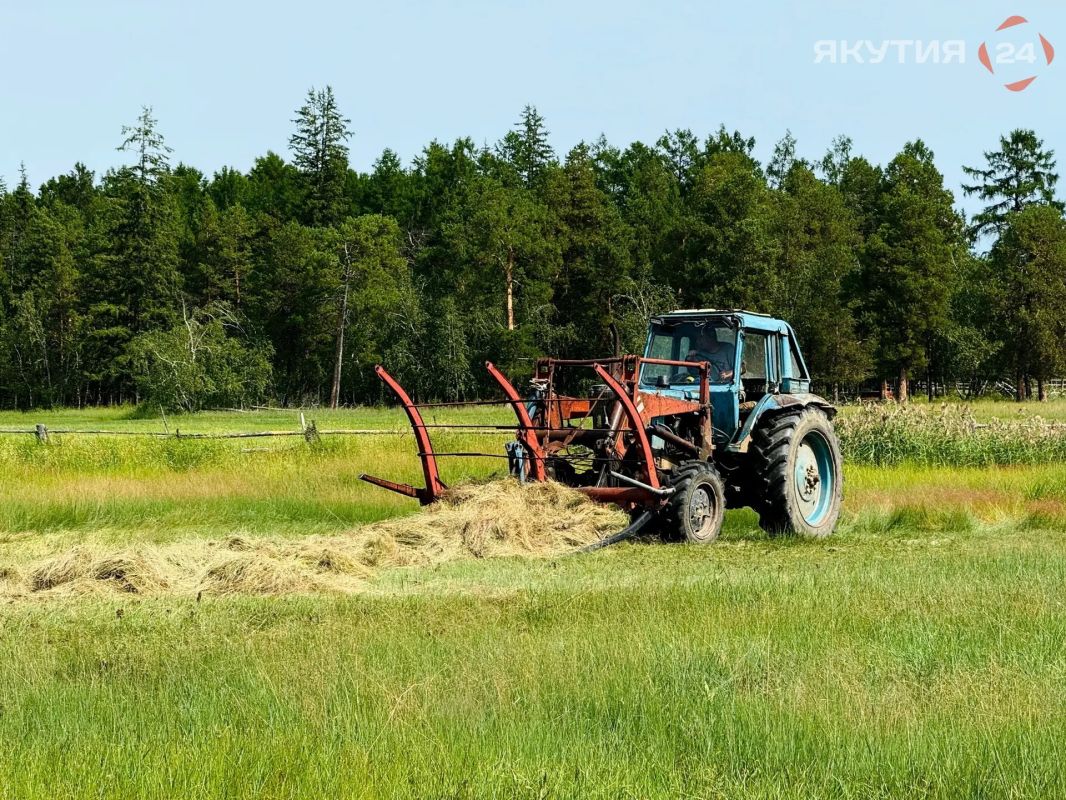 Почти 390 тысяч тонн сена заготовили в Якутии