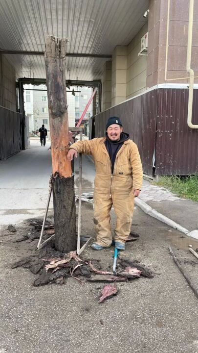 Многодетный отец из Якутска выкорчевал 22 пня в рамках акции «Город без пней» Многодетный отец из Якутска выкорчевал 22 пня в рамках акции «Город без пней»