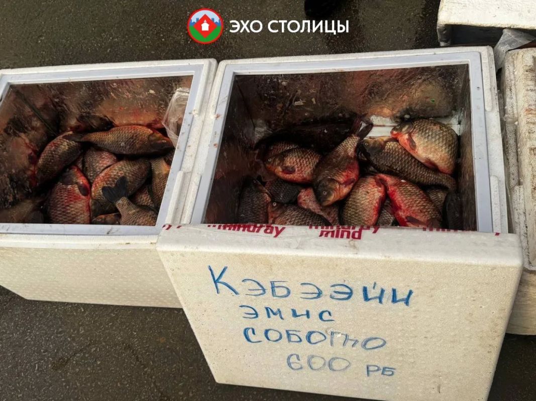 Обзор цен на ярмарке «Продовольствие» в Якутске Обзор цен на ярмарке «Продовольствие» в Якутске