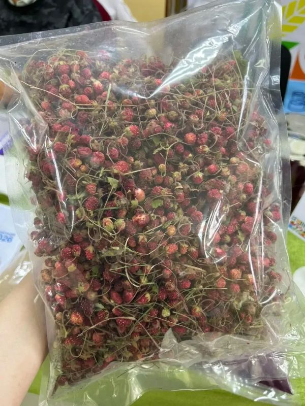 Уникальная продукция из Якутии: «Ферма Лиханова» представила пастилу и сублиматы на форуме «Сила села» Уникальная продукция из Якутии: «Ферма Лиханова» представила пастилу и сублиматы на форуме «Сила села»