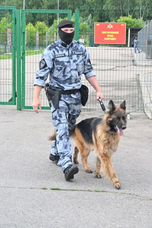 Взрыв с погибшими и нападение на подростка: сводка по Якутии