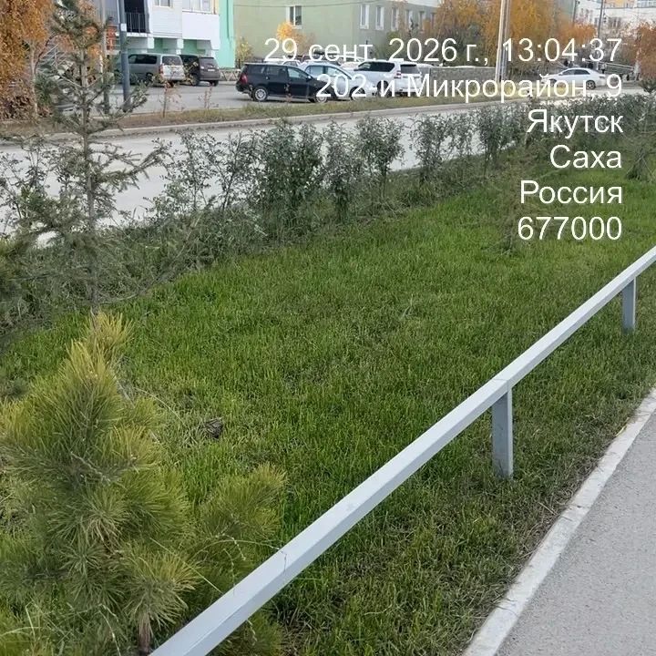 Проверили озеленение в Губинском округе Проверили озеленение в Губинском округе