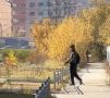 Осторожно! В Якутске неизвестный мужчина хватает девушек за ягодицы