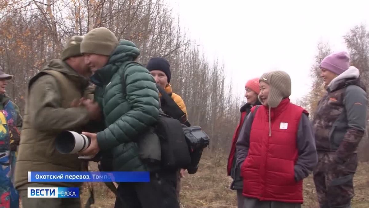 Всё внимание орнитологов этой осенью приковано к небу
