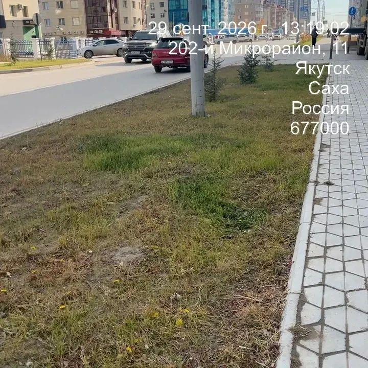 Проверили озеленение в Губинском округе Проверили озеленение в Губинском округе