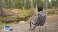 На IV сезон Всероссийского конкурса любительских видеофильмов о путешествиях "Дальний Восток – Земля приключений" поступило 342 заявки из разных регионов страны, что на 12 процентов больше, чем в прошлом году