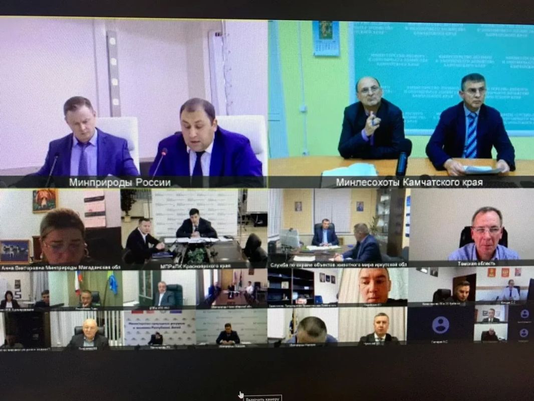 Якутия предложила Минприроды РФ меры по регулированию численности медведей Якутия предложила Минприроды РФ меры по регулированию численности медведей