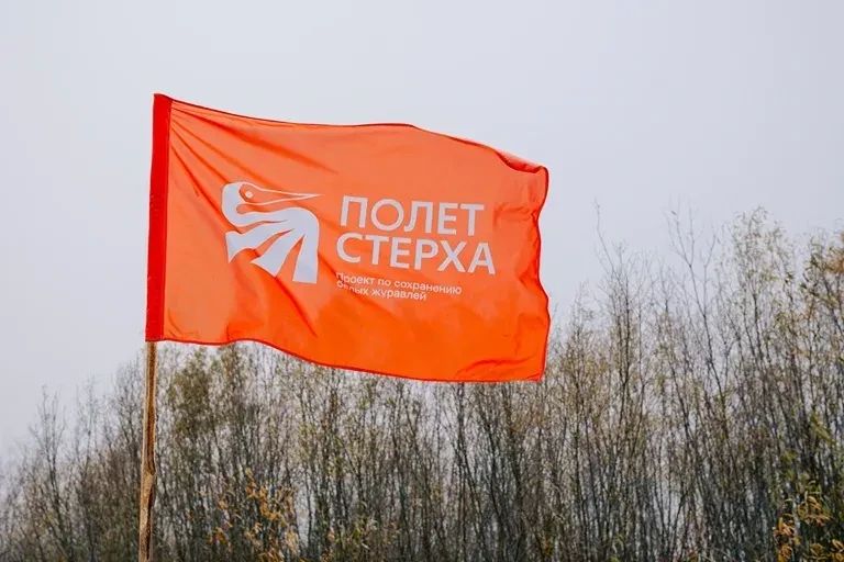 «Полет стерха» отметил годовщину церемонией кольцевания птиц «Полет стерха» отметил годовщину церемонией кольцевания птиц