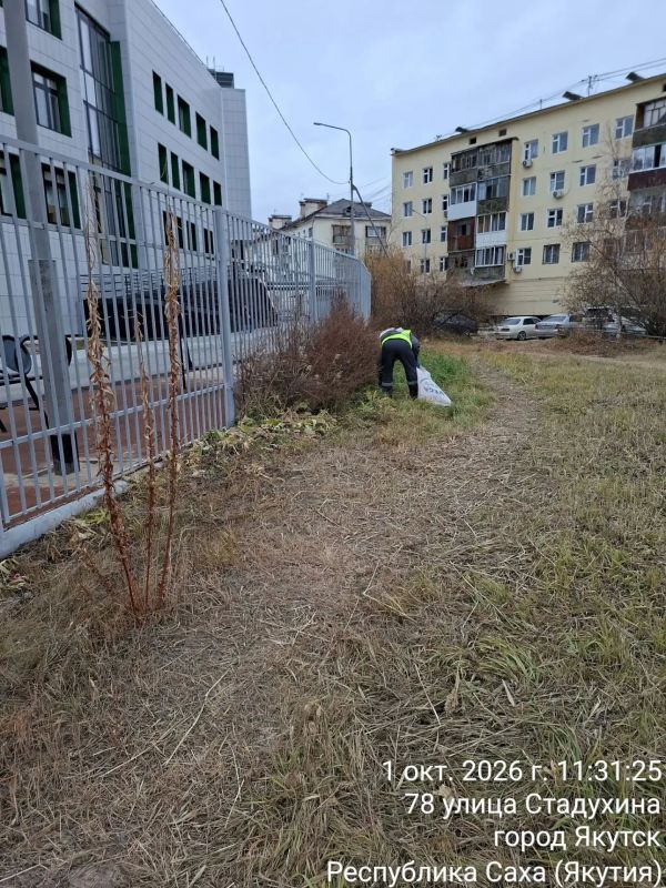 Управа расчистила тропинку возле школы № 29 Управа расчистила тропинку возле школы № 29