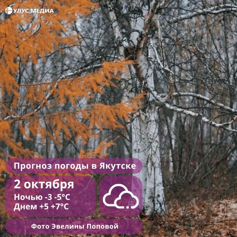 Погода в Якутии 2 октября: штормовой ветер на западе и дожди с мокрым снегом в Якутске