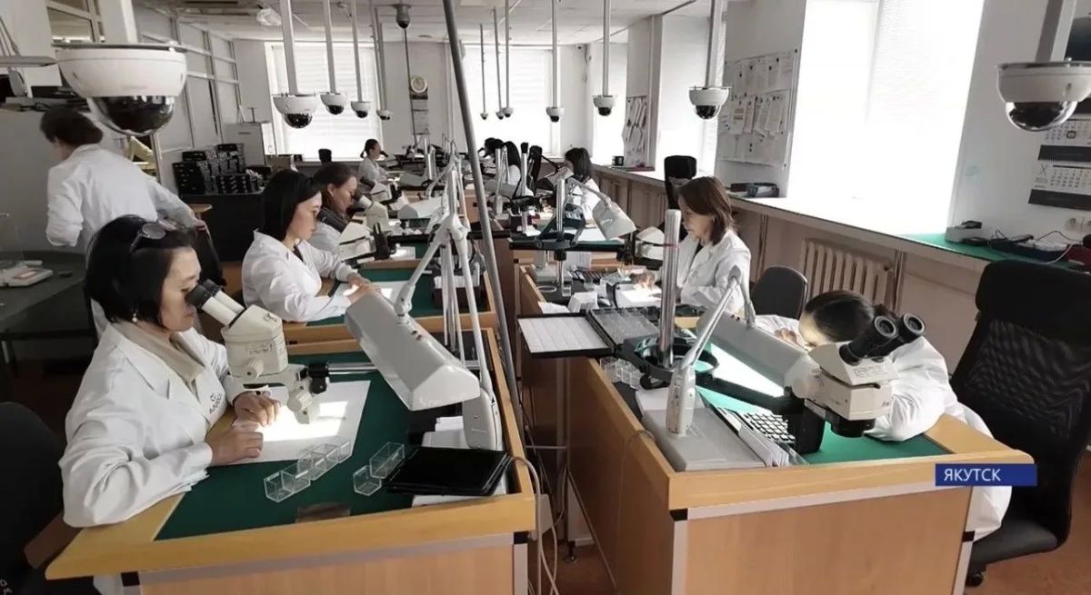 Искусственный интеллект в АЛРОСА в поисках сверхкрупных алмазов Искусственный интеллект в АЛРОСА в поисках сверхкрупных алмазов