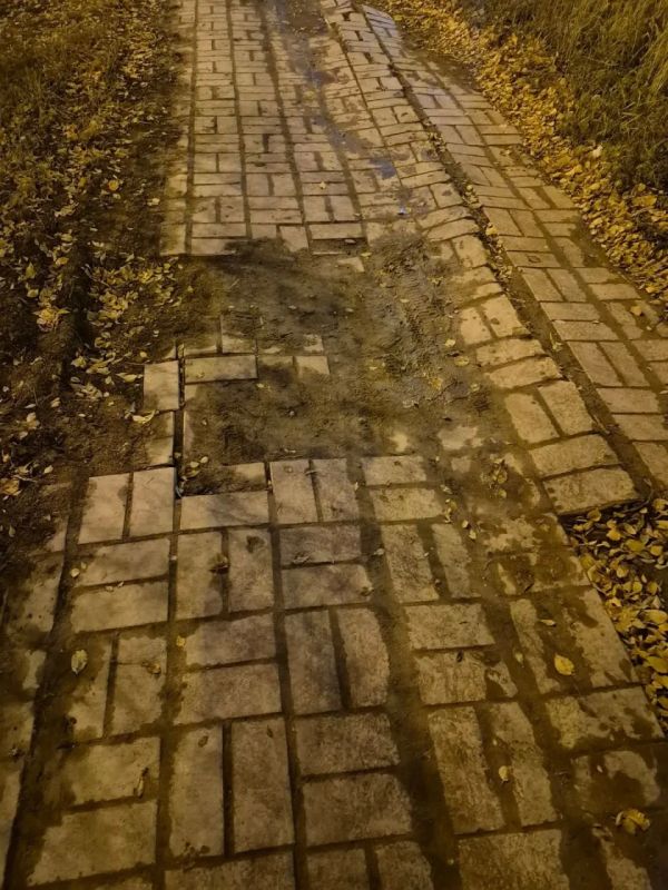 Пень у "Водоканала", о котором мы сообщали, убрали Пень у "Водоканала", о котором мы сообщали, убрали