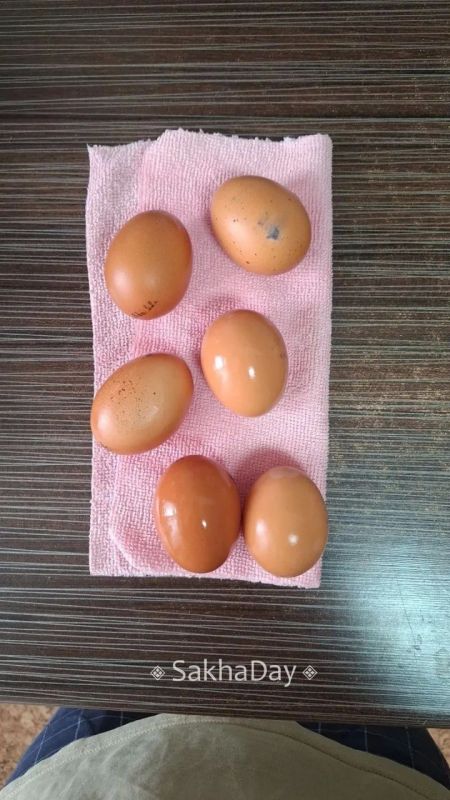 Наш подписчик возмущается: Наш подписчик возмущается: