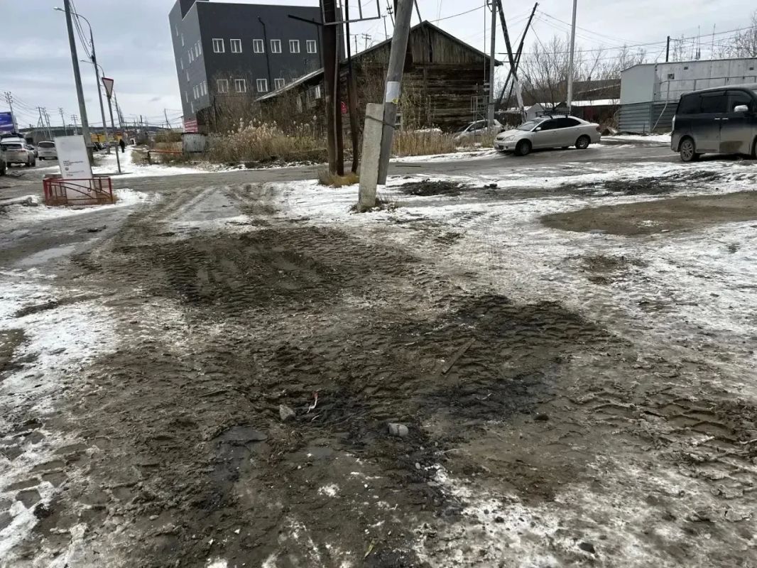 В преддверии заморозков продолжается акция «Город без пней» В преддверии заморозков продолжается акция «Город без пней»