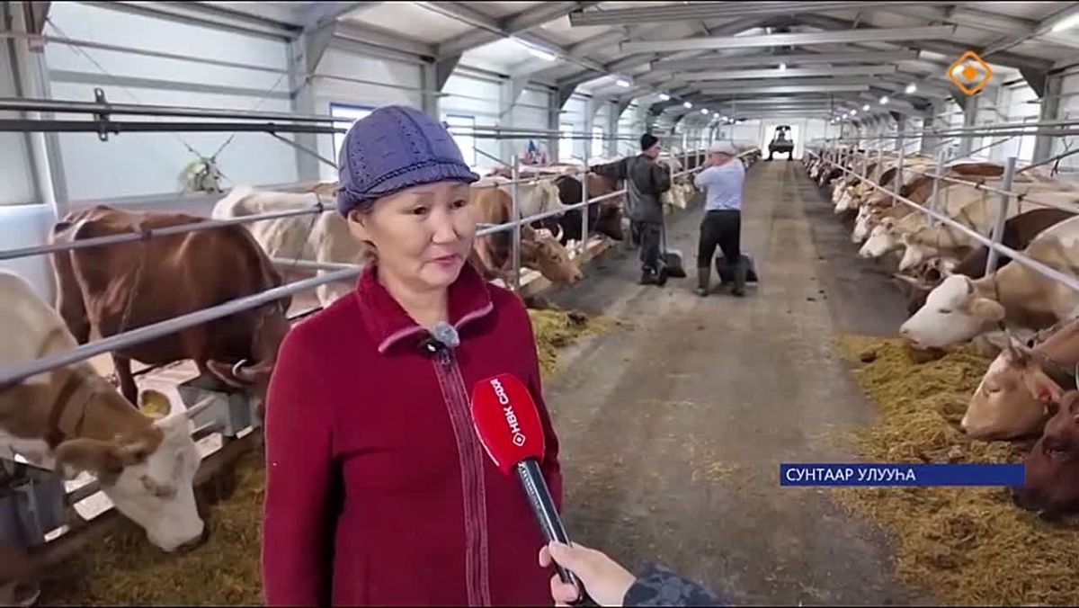 Республикаа тыа хааайыстыбатын сайдыыта саа кэрдиис кэмэ таыста диэтэхпитинэ сыыспаппыт