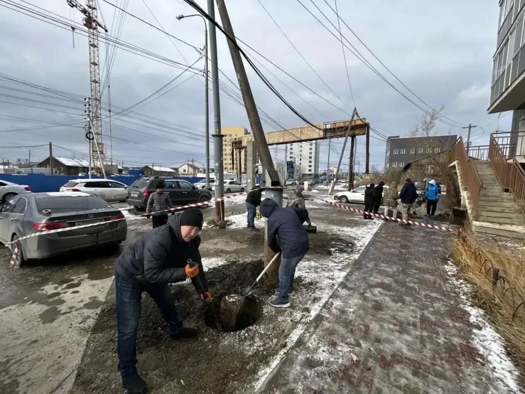 В преддверии заморозков продолжается акция «Город без пней» В преддверии заморозков продолжается акция «Город без пней»