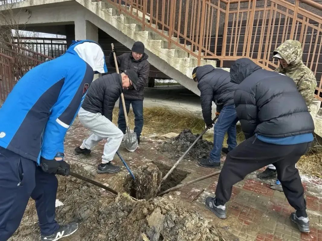 В преддверии заморозков продолжается акция «Город без пней» В преддверии заморозков продолжается акция «Город без пней»