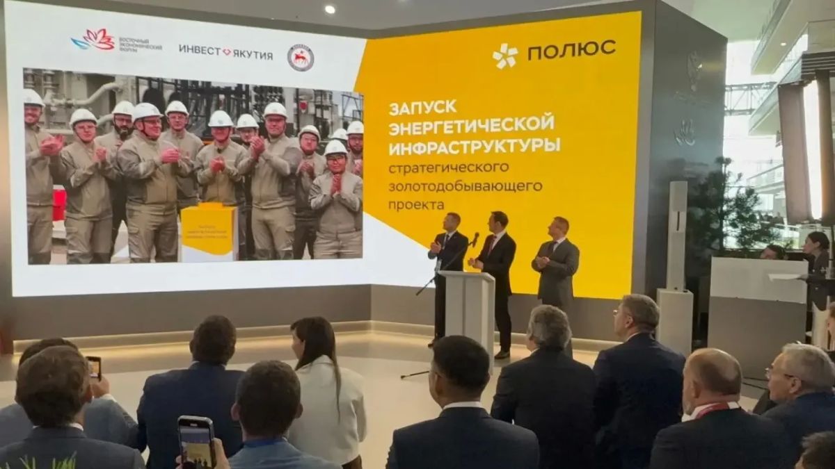 Дайджест: учеба, работа и новые проекты Дайджест: учеба, работа и новые проекты