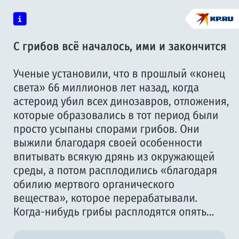 Люди все-таки произошли от грибов Люди все-таки произошли от грибов