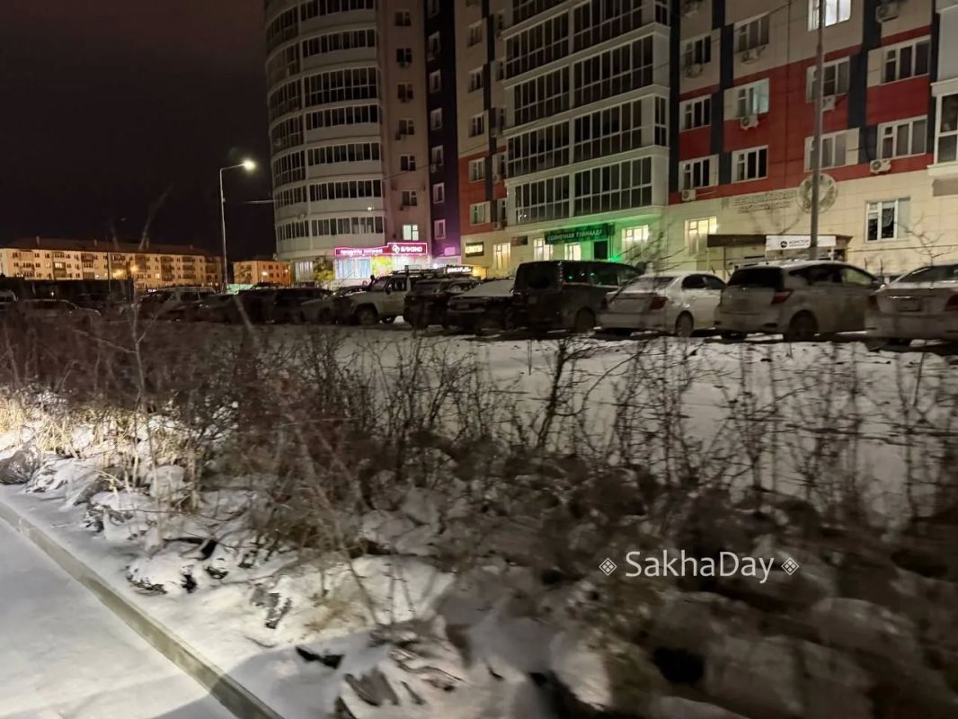 Кусты на Ефимова. #дляsakhaday Кусты на Ефимова. #дляsakhaday