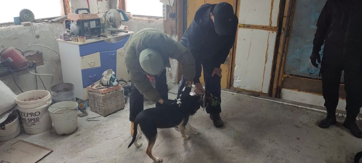 О проведении акции проведения выездной регистрации животных О проведении акции проведения выездной регистрации животных