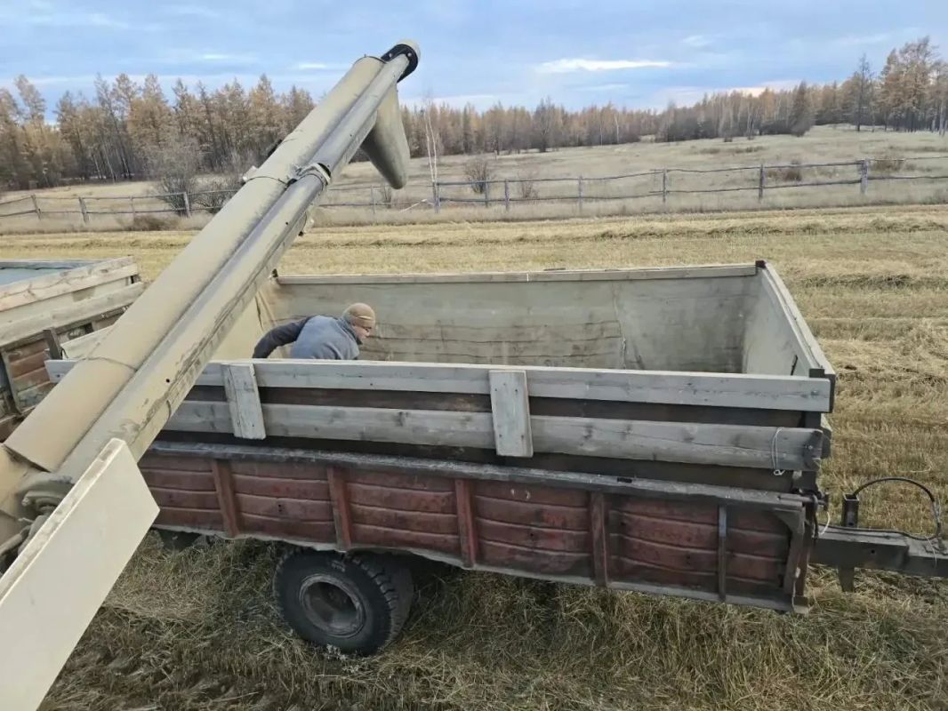 Студенты-агрономы помогли в проведении осенних сельскохозяйственных работ Студенты-агрономы помогли в проведении осенних сельскохозяйственных работ