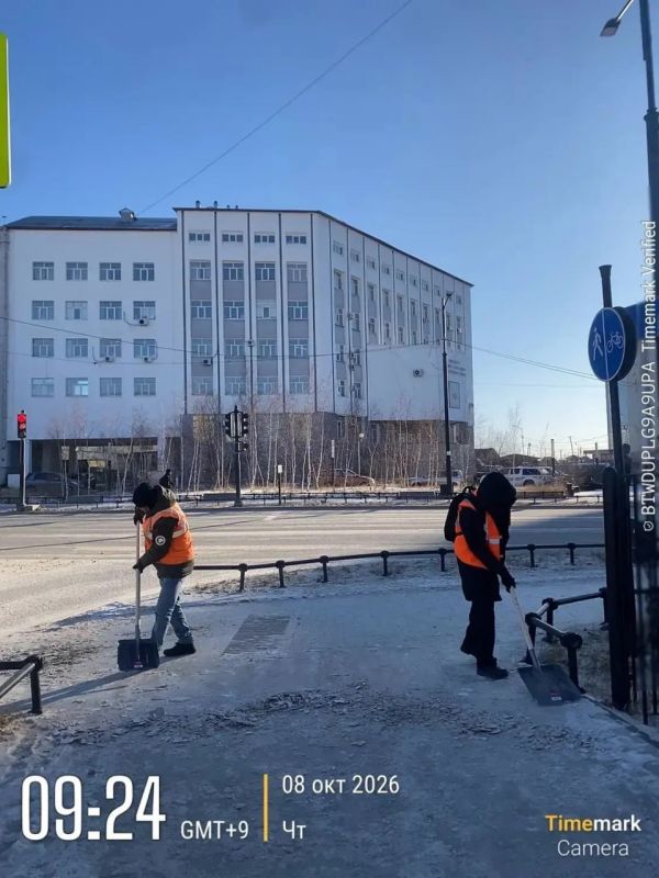 Очистка, подготовка к вывозу, тротуары по проспекту Ленина Очистка, подготовка к вывозу, тротуары по проспекту Ленина