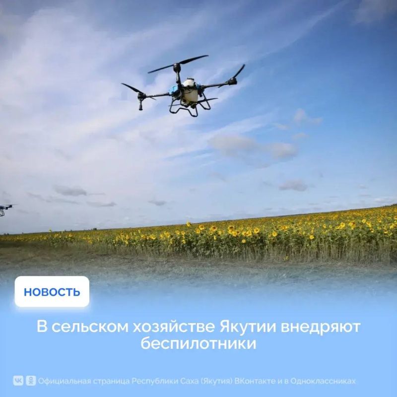 В Чурапчинском районе впервые в республике тяжёлые агродроны применили для внесения удобрений на кормовых культурах