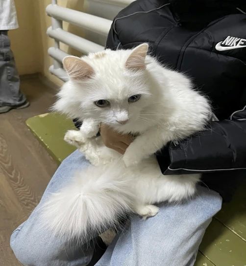 Продолжаем бесплатную акцию! Продолжаем бесплатную акцию!