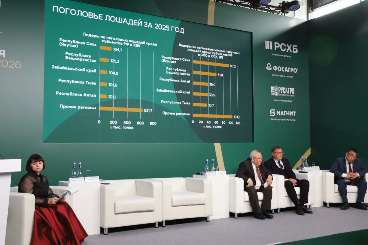 В рамках деловой программы «Золотая осень» идет круглый стол «Развитие табунного коневодства в Российской Федерации», инициированный Сенатором РФ Егором Борисовым В рамках деловой программы «Золотая осень» идет круглый стол «Развитие табунного коневодства в Российской Федерации», инициированный Сенатором РФ Егором Борисовым