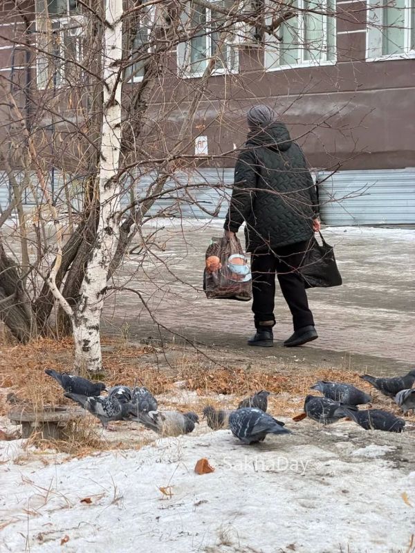 Городские птички выживают, как могут Городские птички выживают, как могут