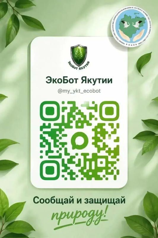 Как правильно помочь дикому животному в городе: инструкция от Минэкологии Якутии