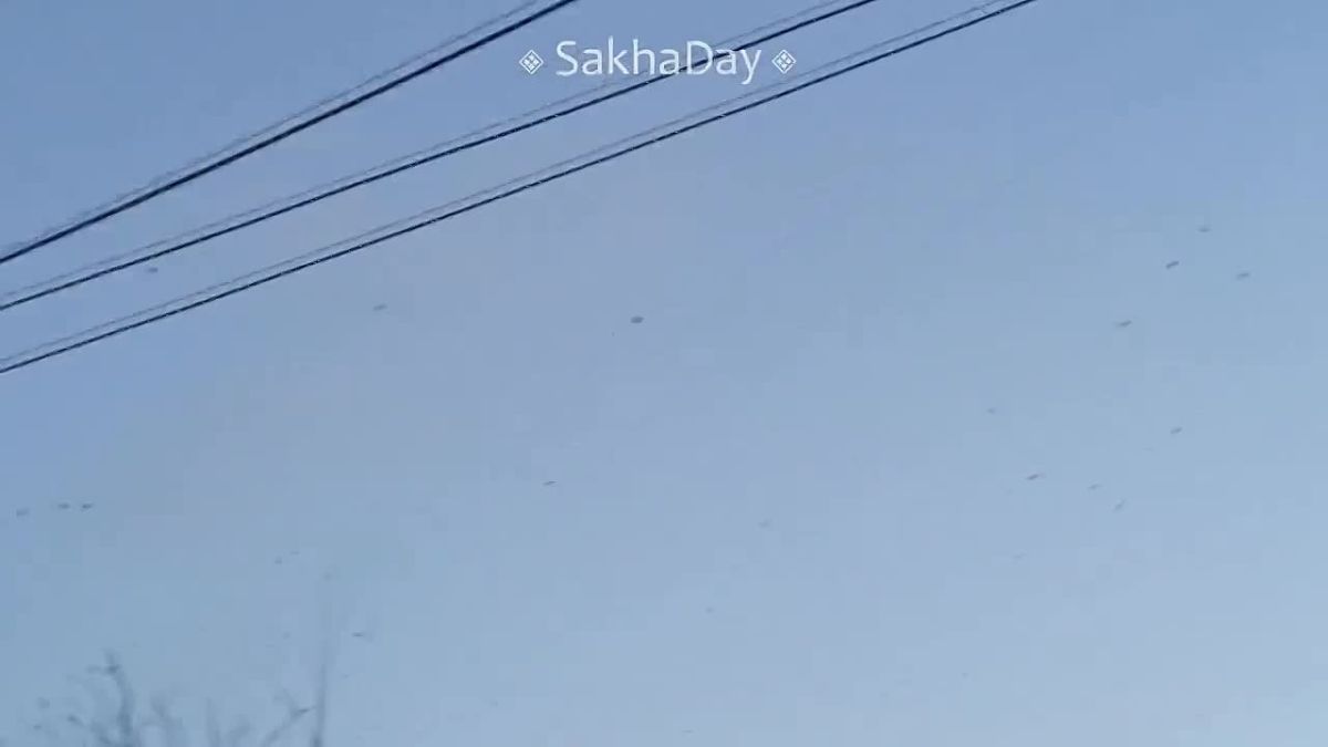 #делятся Вороны улетают — примета скорого похолодания