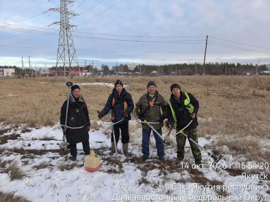 Скос камыша на берегу Чочур Мыран Скос камыша на берегу Чочур Мыран
